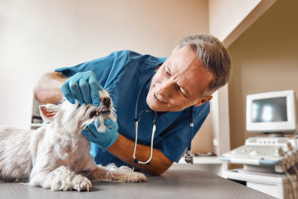 Best Emergency Treatment for Dental Infections or Abscesses in Barberton, OH